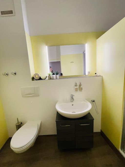 Fewo 20 - Appartement Im Rottalblick - Youngmodern Wohnen, Tiere Willkommen, Bademantelgang Zur Therme, Tv Und Balkon Bad Griesbach (Bavaria) Ngoại thất bức ảnh